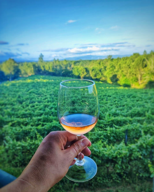Bonjardim Rosé 2021 - Bonjardim Wines- Rosé Wine